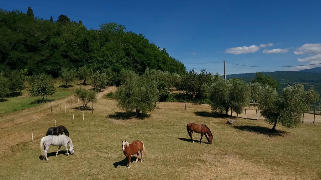 Podere Il Poggiolo Pontassieve Exterior foto